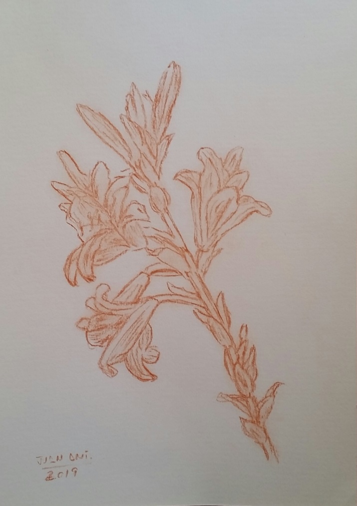 Juan+A.+Fernandez+Gomez-1961 (13).jpg